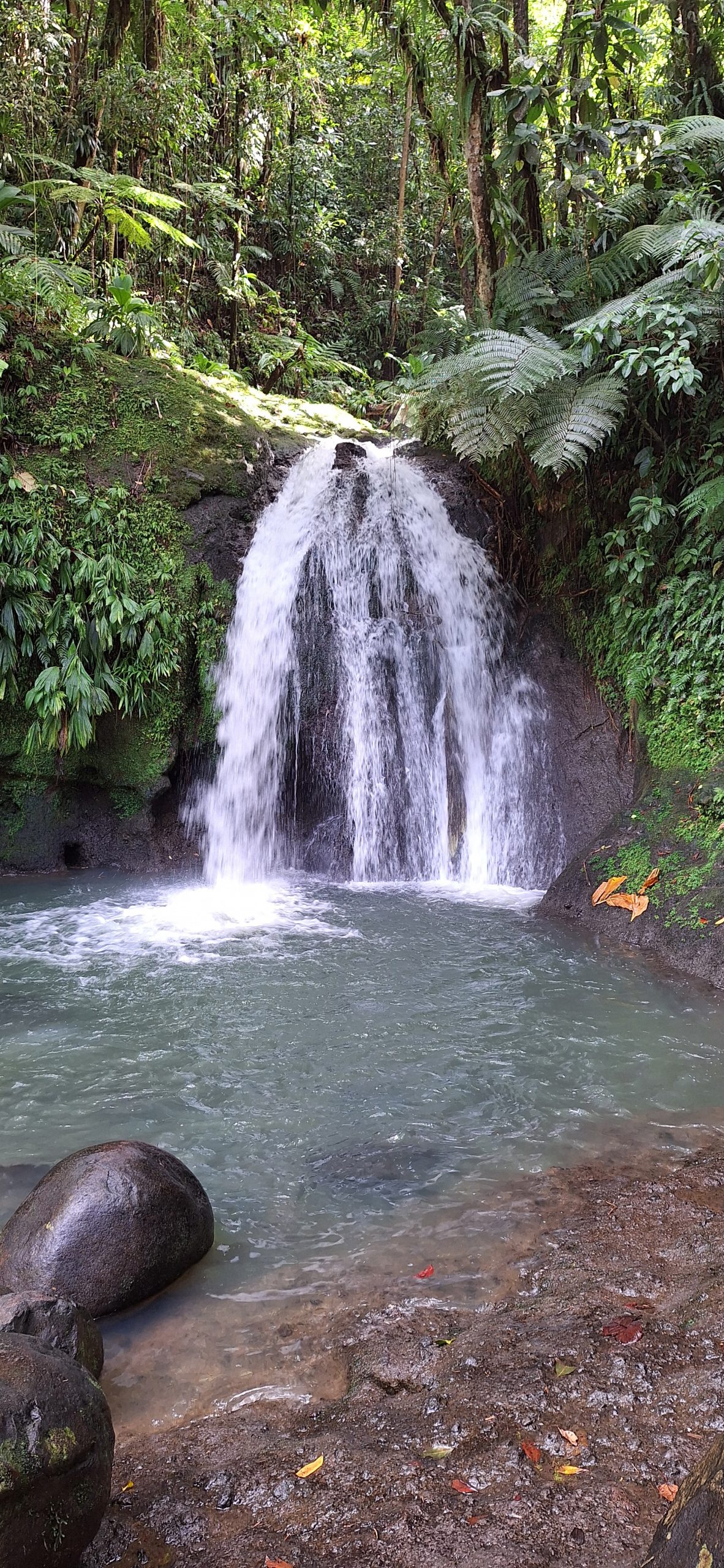 Cascade aux écrevisses