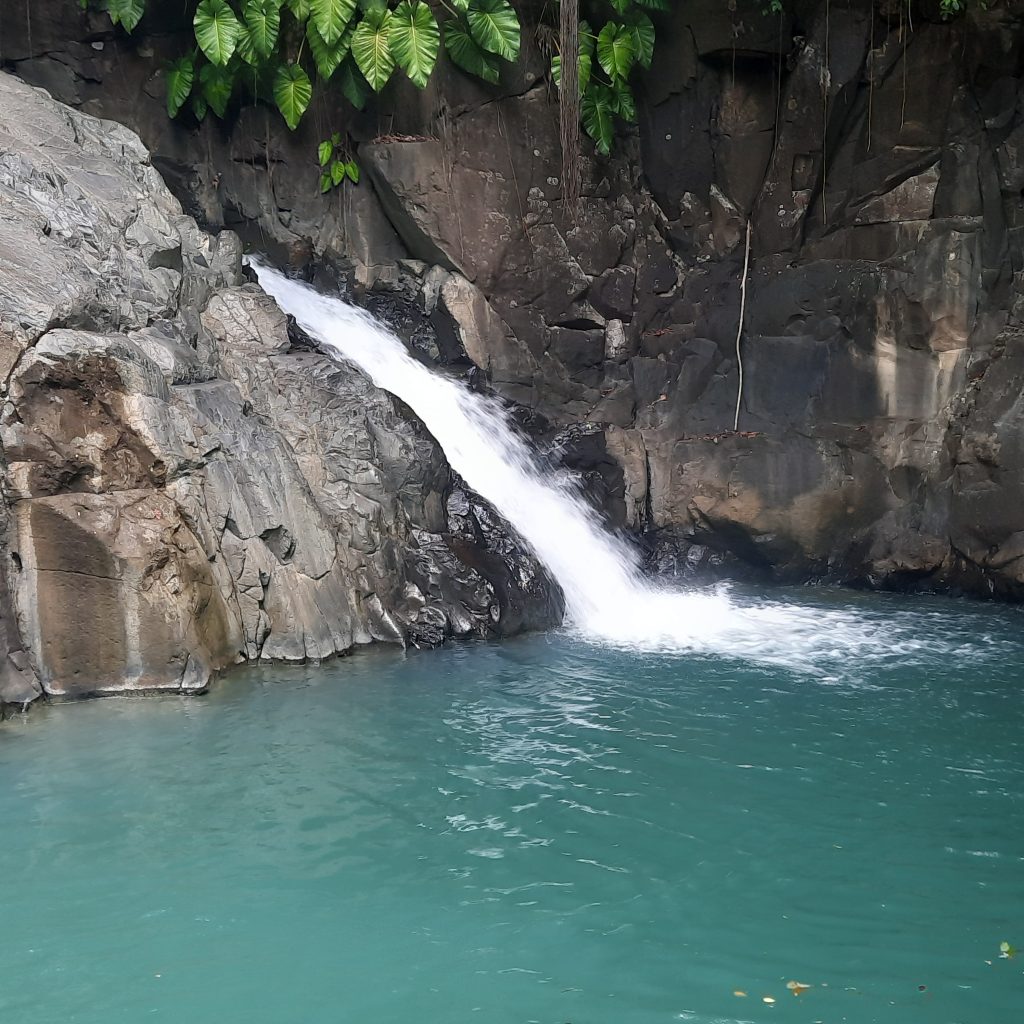 Saut d'Acomat, Pointe-Noire, Guadeloupe